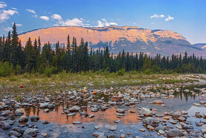 Framed Print : Canadian Rocky Mountains (Chetamon Mountain) reflected in Snaring River at sunrise. Snaring River Road. Jasper National Park Alberta, Canada Framed Print : Canadian Rocky Mountains (Chetamon Mountain) reflected in Snaring River at sunrise. Snaring River Road. Jasper National Park Alberta, Canada