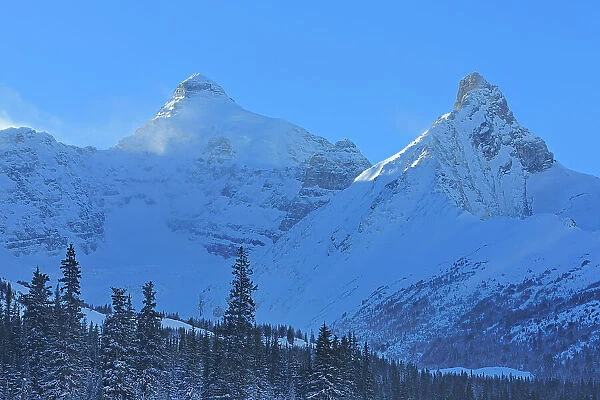 The Canadian Rocky Mountains along the Icefields Parkway, Banff National Park, Alberta, Canada