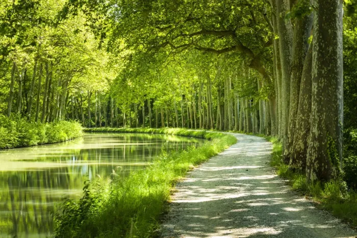 Framed Print : Canal du Midi, near Castelnaudary, Languedoc, France