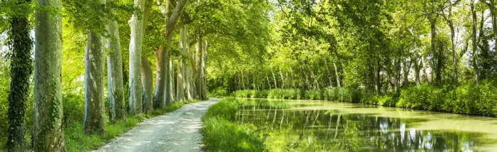 Framed Print : Canal du Midi, near Castelnaudary, Languedoc, France Framed Print : Canal du Midi, near Castelnaudary, Languedoc, France