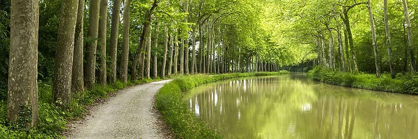 Canal du Midi, Occitanie, France