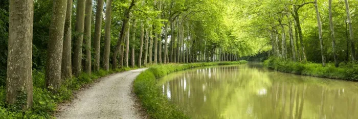 Framed Print : Canal du Midi, Occitanie, France Framed Print : Canal du Midi, Occitanie, France