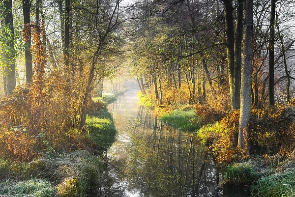A canal in the Spreewald, Biosphere reserve Spreewald, Brandenburg, Germany, Europe