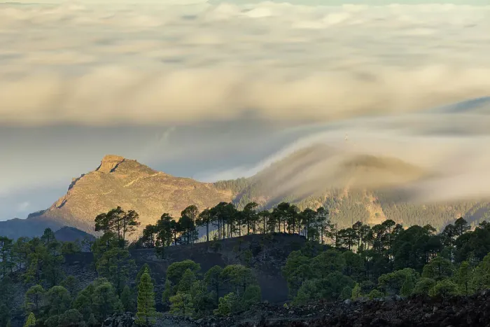 Framed Print : Canary Island Pine Forest with clouds moving over the Atlantic during a long exposure, Teide National Park, Tenerife, Canary Islands Framed Print : Canary Island Pine Forest with clouds moving over the Atlantic during a long exposure, Teide National Park, Tenerife, Canary Islands