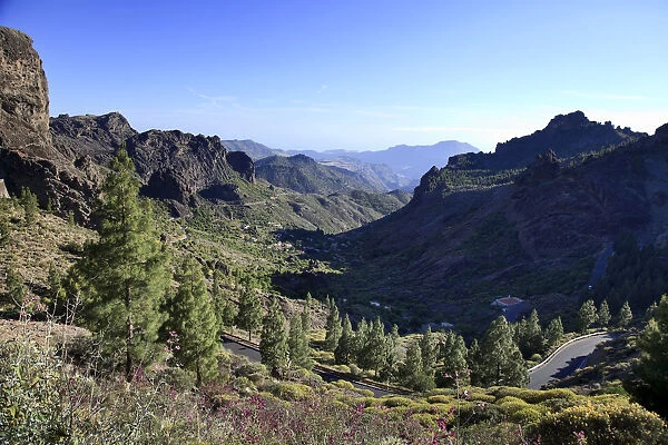 Canary Islands, Gran Canaria, Central Mountains, Roque Nublo Hiking Trail