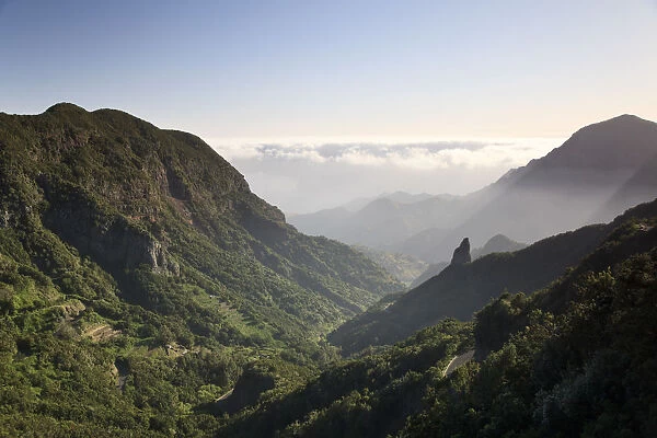 Canary Islands, La Gomera, Garajonay National Park (UNESCO Site)