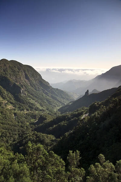 Canary Islands, La Gomera, Garajonay National Park (UNESCO Site)