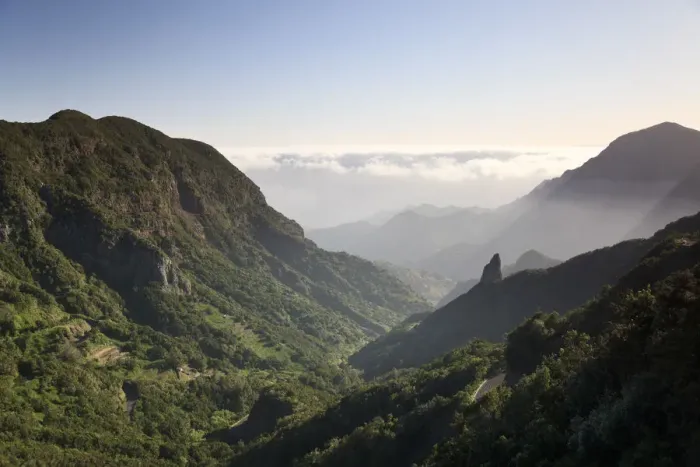 Framed Print : Canary Islands, La Gomera, Garajonay National Park (UNESCO Site) Framed Print : Canary Islands, La Gomera, Garajonay National Park (UNESCO Site)
