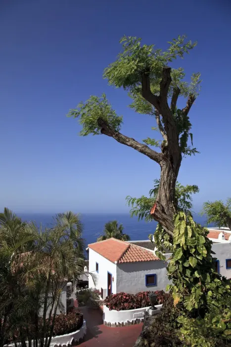 Framed Print : Canary Islands, La Gomera, Playa Santiago, Jardin Tecina Resort Framed Print : Canary Islands, La Gomera, Playa Santiago, Jardin Tecina Resort