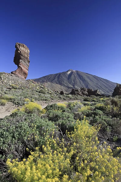 Canary Islands, Tenerife, Parque Nacional del Teide (Teide National Park), UNESCO Site