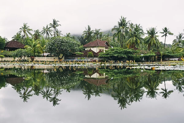 Candidasa, Karangasem, Bali, Indonesia. Perfect reflections on the lotus lagoon