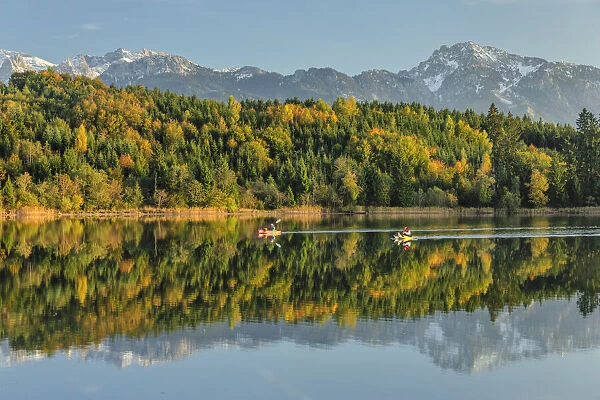 Canoeists on Forggensee Lake, Fussen, Allgau Alps, Ostallgau, Swabia, Bavaria, Germany