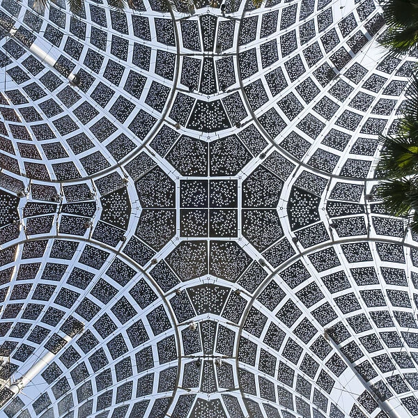 Canopy over walkway at Expo 2020, Dubai, United Arab Emirates