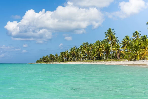 Canto de la Playa, Saona Island, East National Park (Parque Nacional del Este), Dominican