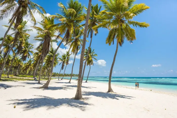 Framed Print : Canto de la Playa, Saona Island, East National Park (Parque Nacional del Este), Dominican