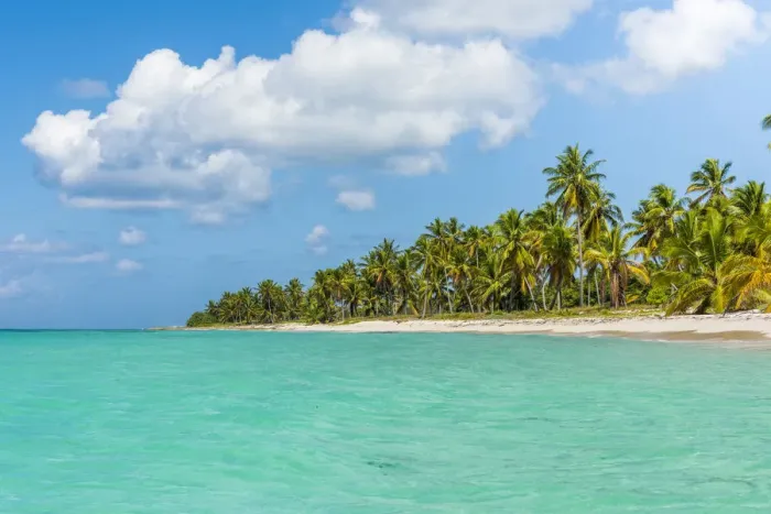 Framed Print : Canto de la Playa, Saona Island, East National Park (Parque Nacional del Este), Dominican Framed Print : Canto de la Playa, Saona Island, East National Park (Parque Nacional del Este), Dominican