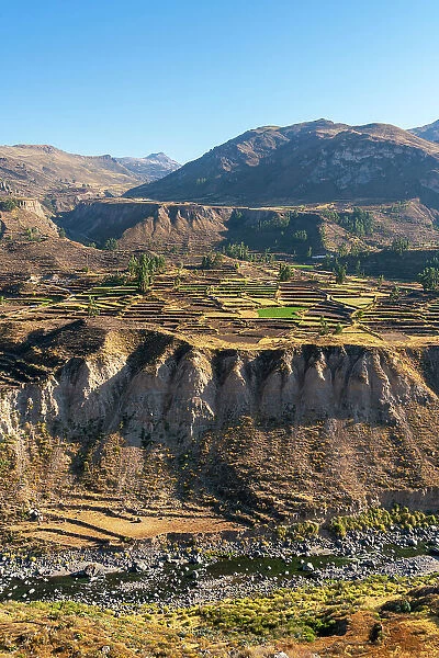 Canyon Colca as seen from Mirador Achoma near Achoma and Chivay, Caylloma Province, Arequipa Region, Peru