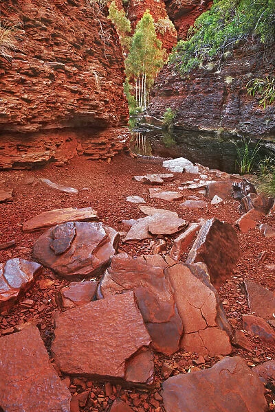 Canyon landscape in Weano Gorge - Australia, Western Australia, Pilbara