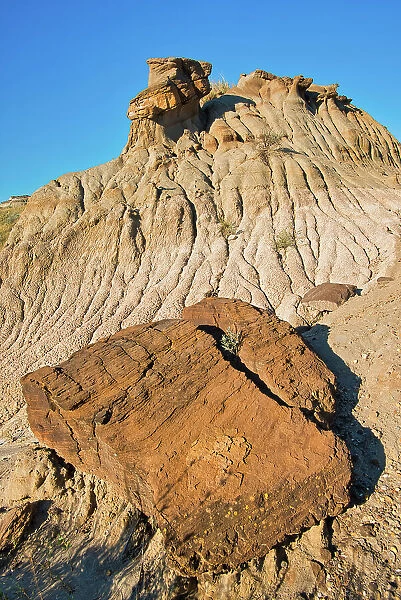 Cap that has fallen off a hoodoo, Badlands, UNESCO World Heritage Site, Dinosaur Provincial Park, Alberta, Canada