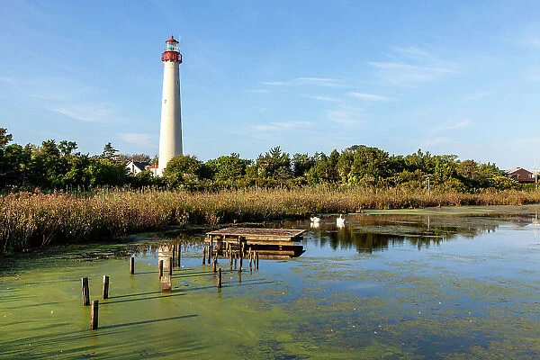 Cape May Lighthouse, Cape May Point State Park, New Jersey, USA