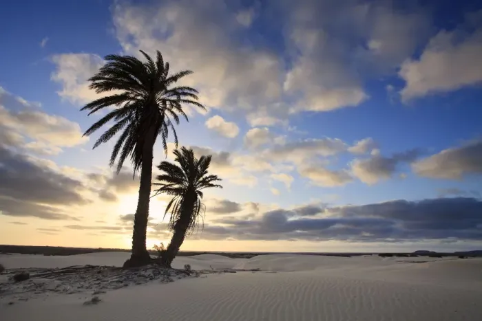Framed Print : Cape Verde, Boavista, Rabil, Viana Desert Framed Print : Cape Verde, Boavista, Rabil, Viana Desert