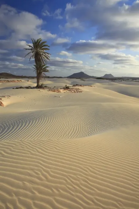 Framed Print : Cape Verde, Boavista, Rabil, Viana Desert Framed Print : Cape Verde, Boavista, Rabil, Viana Desert