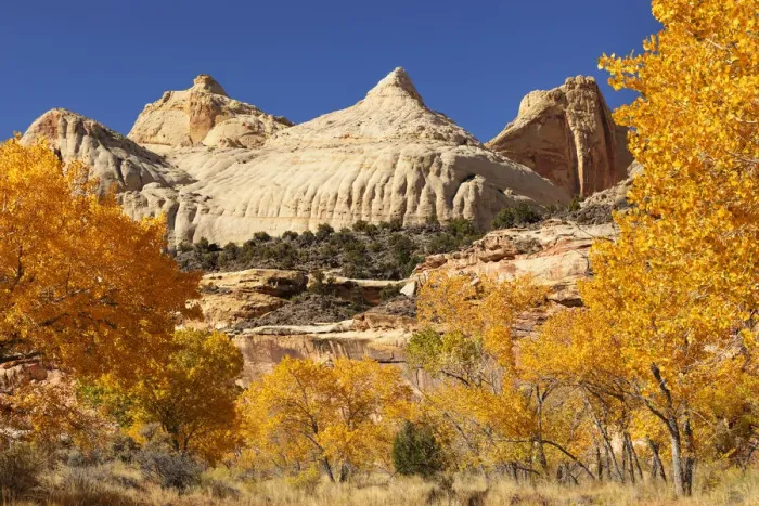 Framed Print : Capitol Dome in autumn, Capitol Reef National Park, Utah, USA Framed Print : Capitol Dome in autumn, Capitol Reef National Park, Utah, USA