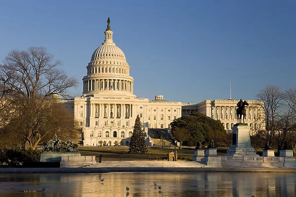 The Capitol, Washington DC, USA