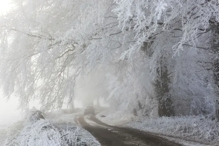 Framed Print : Car in country lane with frost covered trees, nr Wotton, Gloucestershire, UK Framed Print : Car in country lane with frost covered trees, nr Wotton, Gloucestershire, UK