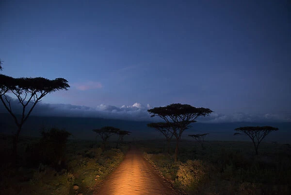 Car headlights illumiate the road into Ngorongoro Crater, before dawn, Tanzania