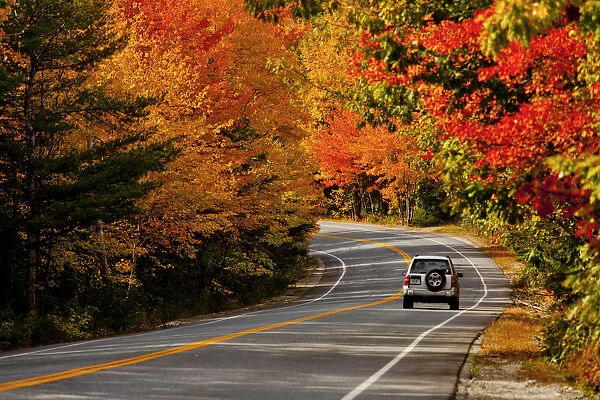 Car on Road in Autumn, Acadia National Park, Maine, USA