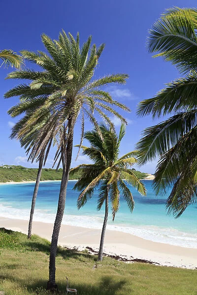 Caribbean, Antigua and Barbuda, Halfmoon Bay
