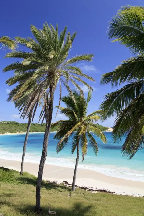 Framed Print : Caribbean, Antigua and Barbuda, Halfmoon Bay Framed Print : Caribbean, Antigua and Barbuda, Halfmoon Bay