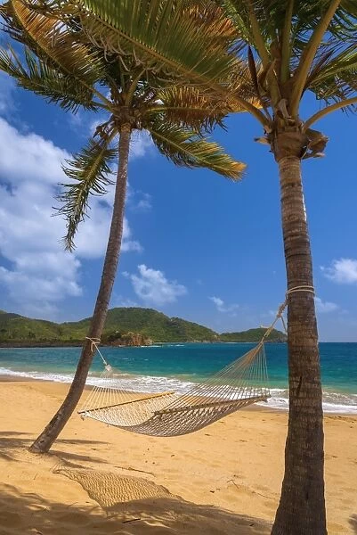 Caribbean, Antigua, Curtain Bluff, Curtain Bluff Beach, Hammock between Palm Trees