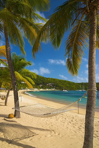 Caribbean, Antigua, Freemans Bay, Galleon Beach, Hammock between Palm Trees
