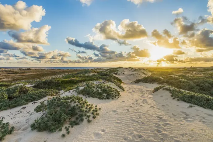 Framed Print : Caribbean, Aruba, Noord District, Landscape of the California Sand Dunes area Framed Print : Caribbean, Aruba, Noord District, Landscape of the California Sand Dunes area