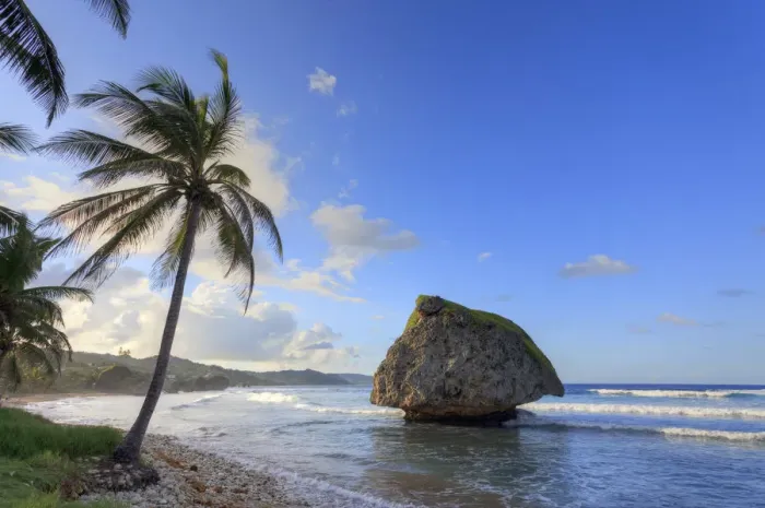 Framed Print : Caribbean, Barbados, Bathsheba bay Framed Print : Caribbean, Barbados, Bathsheba bay