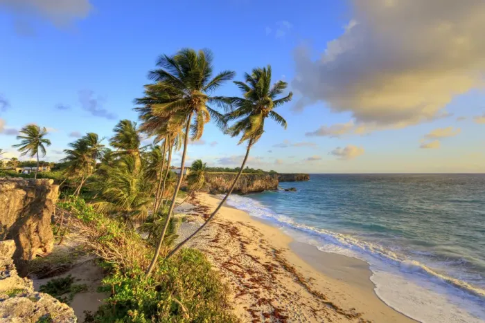 Framed Print : Caribbean, Barbados, Bottom Bay Beach
