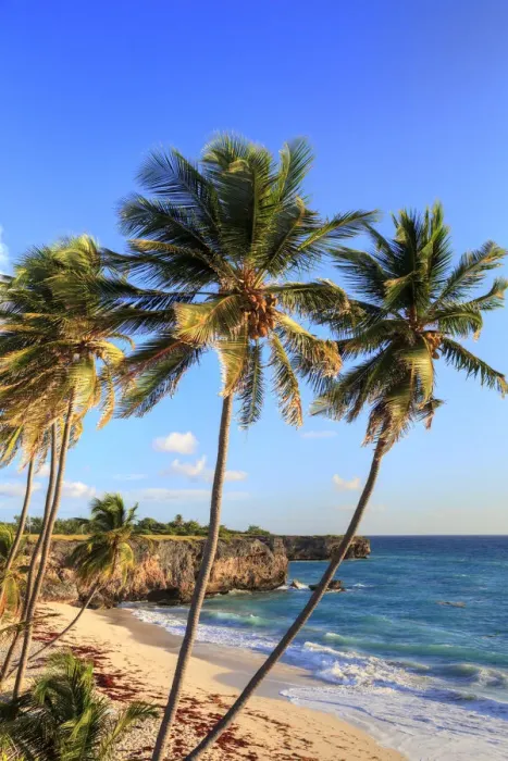Framed Print : Caribbean, Barbados, Bottom Bay Beach