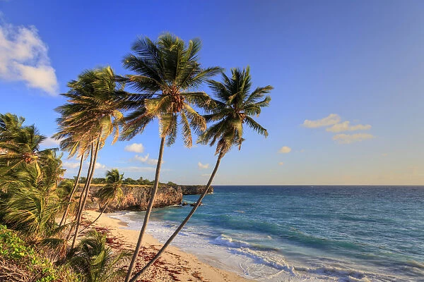 Caribbean, Barbados, Bottom Bay Beach