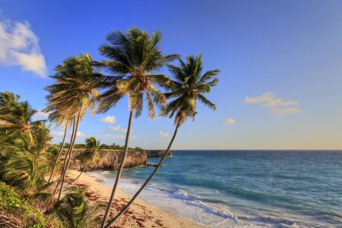 Framed Print : Caribbean, Barbados, Bottom Bay Beach