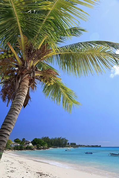 Caribbean, Barbados, Oistins, Miami Beach