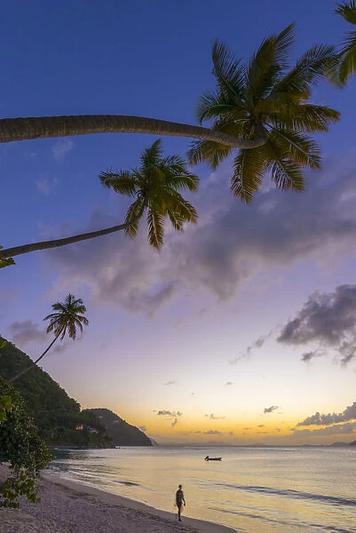 Caribbean, British Virgin Islands, Tortola, Cane Garden Bay, Cane Garden Bay Beach