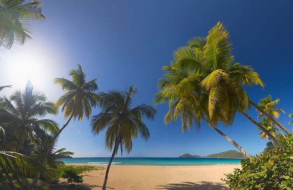 Caribbean, British Virgin Islands, Tortola, Lambert Bay, Lambert Bay Beach