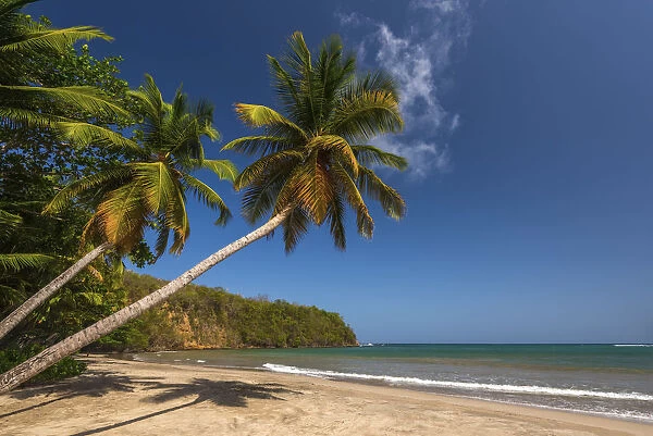 Caribbean, Grenada, La Sagesse Bay, La Sagesse Beach