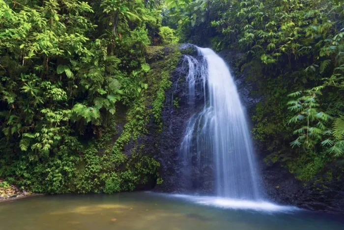 Framed Print : Caribbean, Martinique, Cascade de Saut Gendarme (Leaping Constable Waterfall) Framed Print : Caribbean, Martinique, Cascade de Saut Gendarme (Leaping Constable Waterfall)