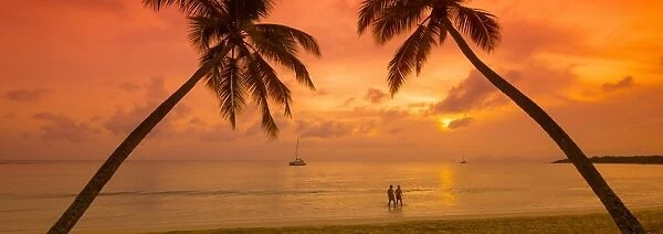 Caribbean, Martinique, Sainte Anne, Grande Anse des Salines
