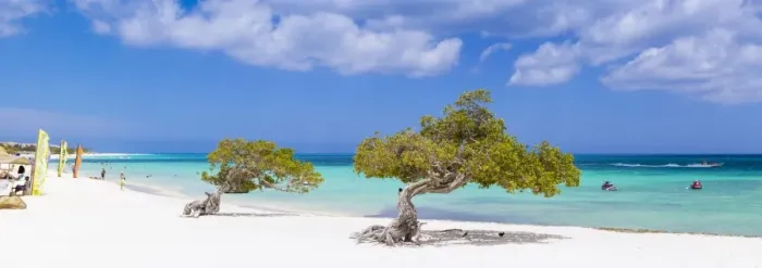 Framed Print : Caribbean, Netherland Antilles, Aruba, Divi Divi Trees on Eagle Beach Framed Print : Caribbean, Netherland Antilles, Aruba, Divi Divi Trees on Eagle Beach