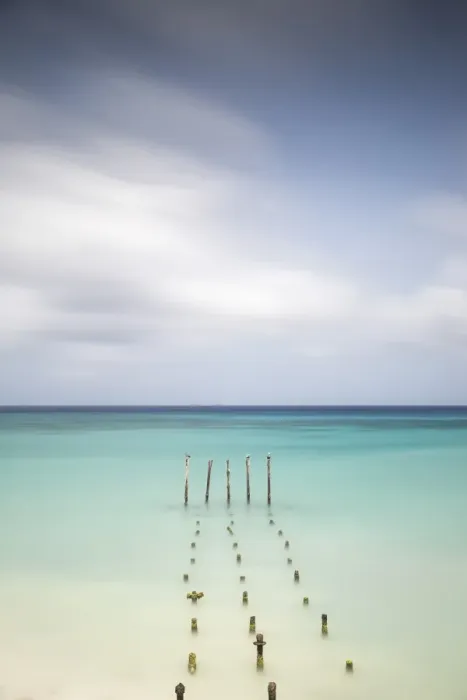 Framed Print : Caribbean, Netherland Antilles, Aruba, Divi beach, Pelicans on wooden posts Framed Print : Caribbean, Netherland Antilles, Aruba, Divi beach, Pelicans on wooden posts
