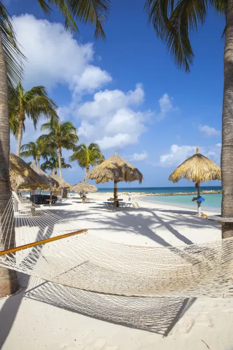 Framed Print : Caribbean, Netherland Antilles, Aruba, Hammock on Palm beach Framed Print : Caribbean, Netherland Antilles, Aruba, Hammock on Palm beach